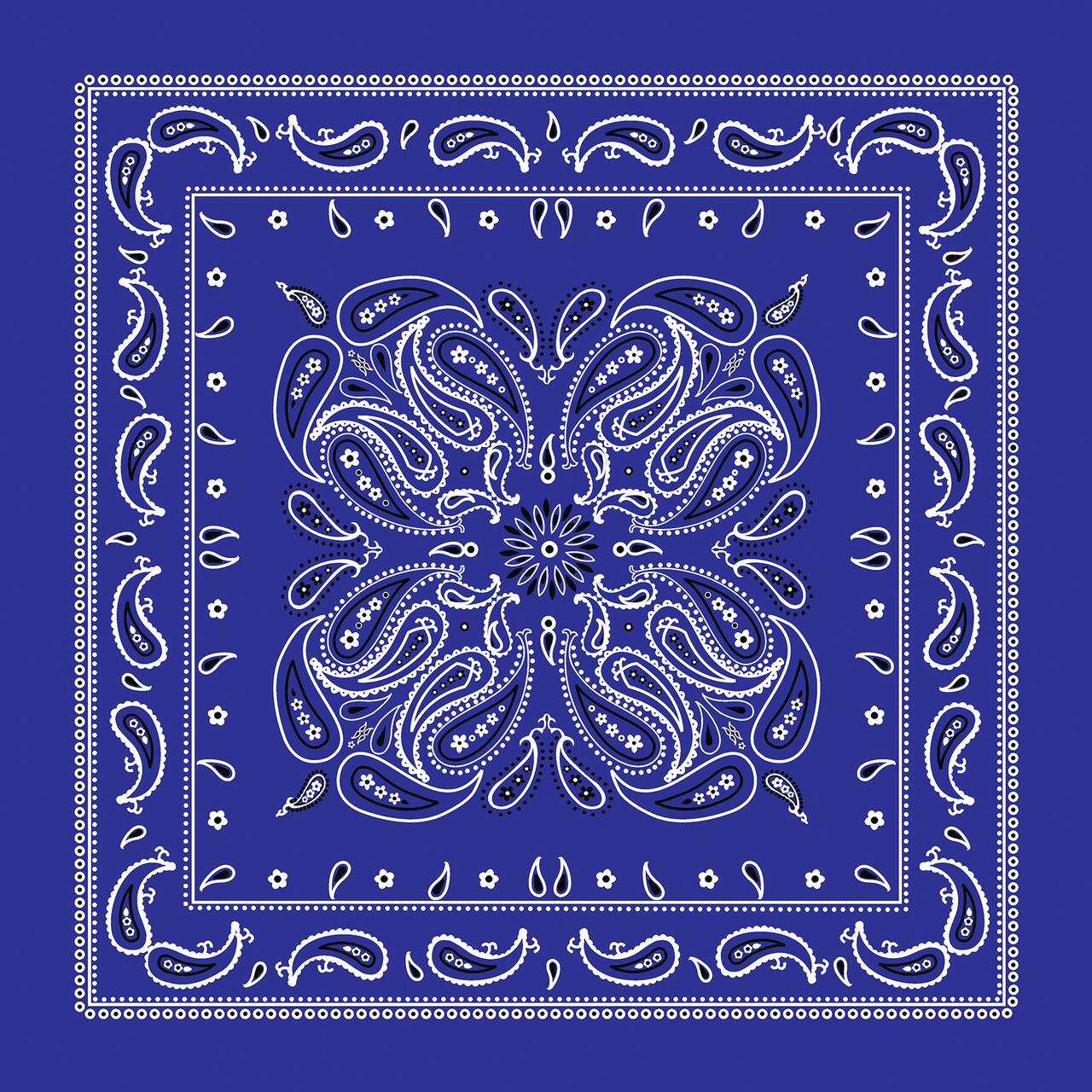 12 Pack: Paisley Bandana by Make Market®